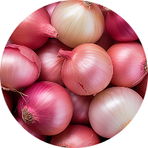 Onion